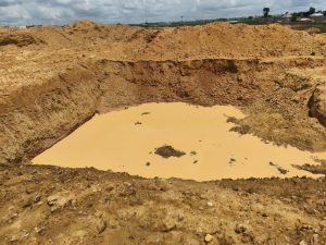Survivors Speak Out: The Tragic Deaths of 37&hellip;