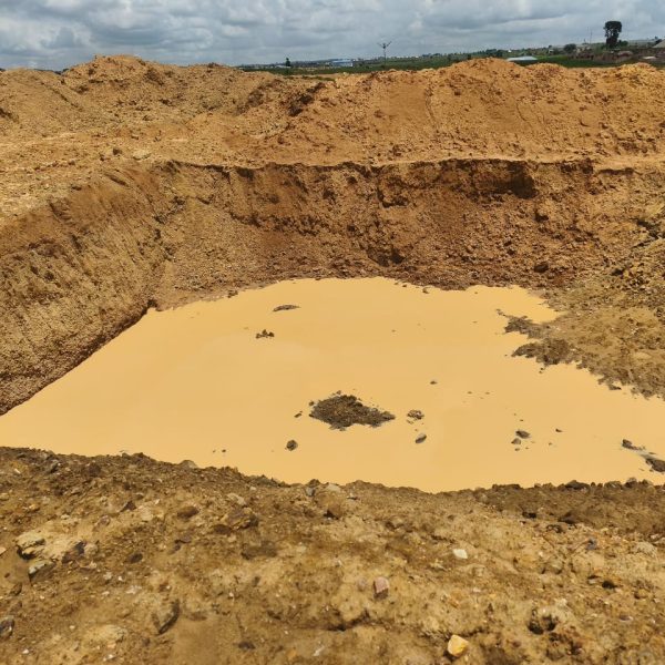 Survivors Speak Out: The Tragic Deaths of 37&hellip;