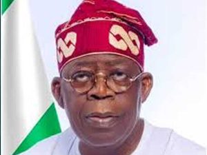 Tinubu Unveils NCGC’s N46.95 Billion Loan Guarantee for&hellip;