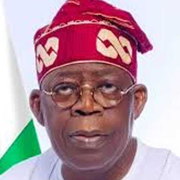 Tinubu Unveils NCGC’s N46.95 Billion Loan Guarantee for&hellip;