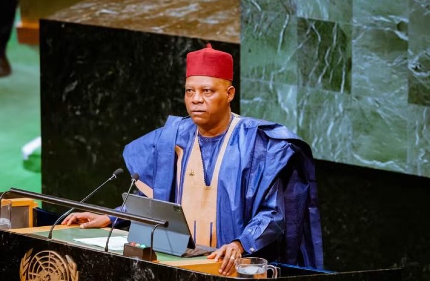 VP Kashim Shettima: Africa’s Exclusion from UN Security Council Harms Global Governance Legitimacy