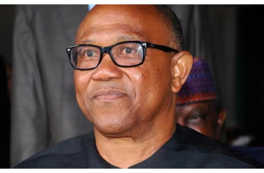 Peter Obi Expresses Concern over Safety Ahead of 2027 Election