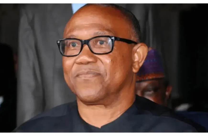 Presidency Accuses Peter Obi Supporters of Enabling a Culture of Lying