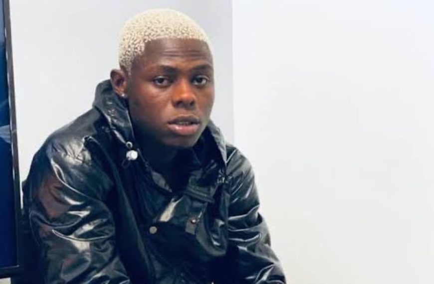 Court Dismisses Legal Bid for Fresh Probe into Mohbad’s Death