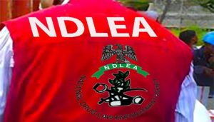 NDLEA Disrupts Major Methamphetamine Cartel, Arrests Two in&hellip;