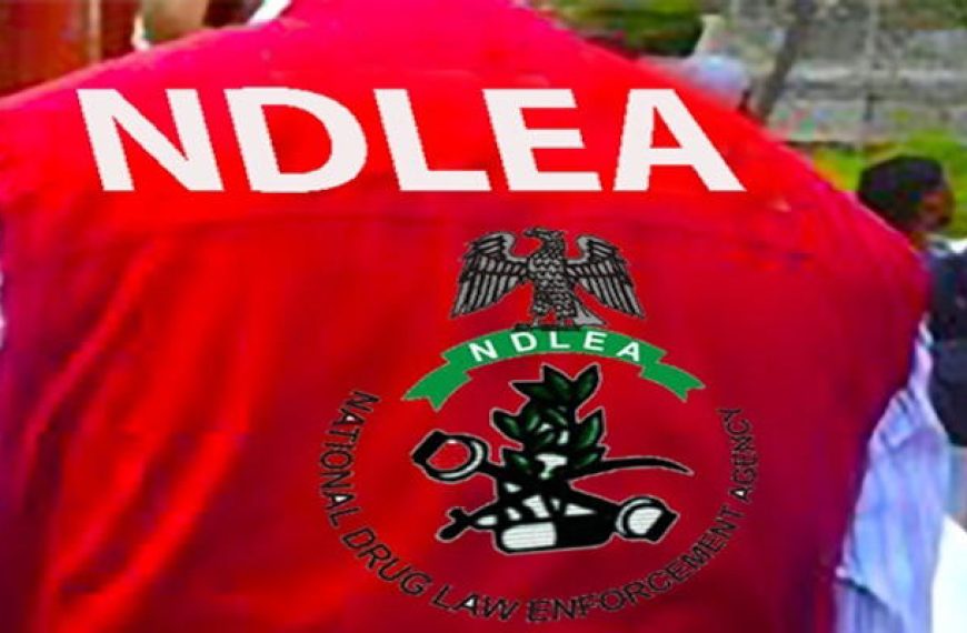 NDLEA Disrupts Major Methamphetamine Cartel, Arrests Two in Enugu