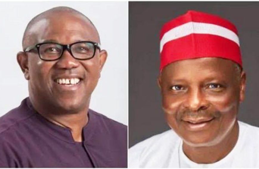 The Challenge of Transparent Election Monitoring for Nigeria’s Ruling Party