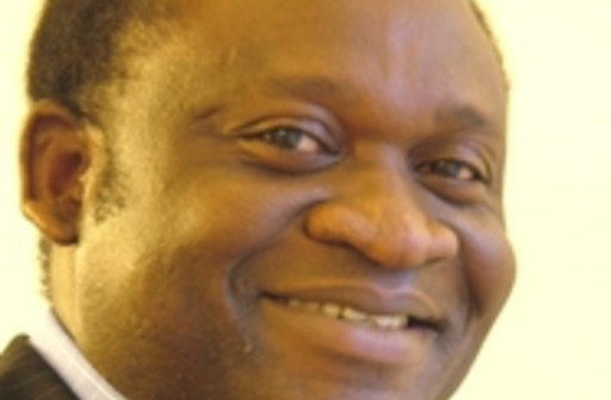 Nigeria @ 66: Fasan Takes Transformation Debate to London