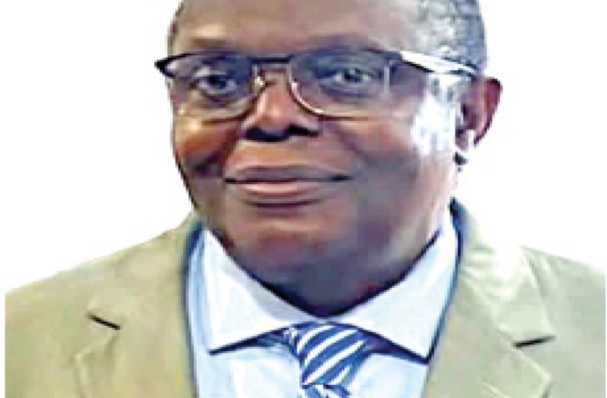Engineer in Diaspora Calls for Focus&hellip;