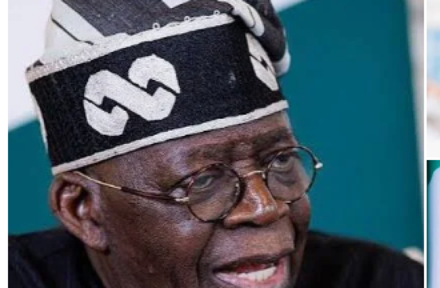 Tinubu Advocates for African Cooperation to Bolster Mineral Wealth
