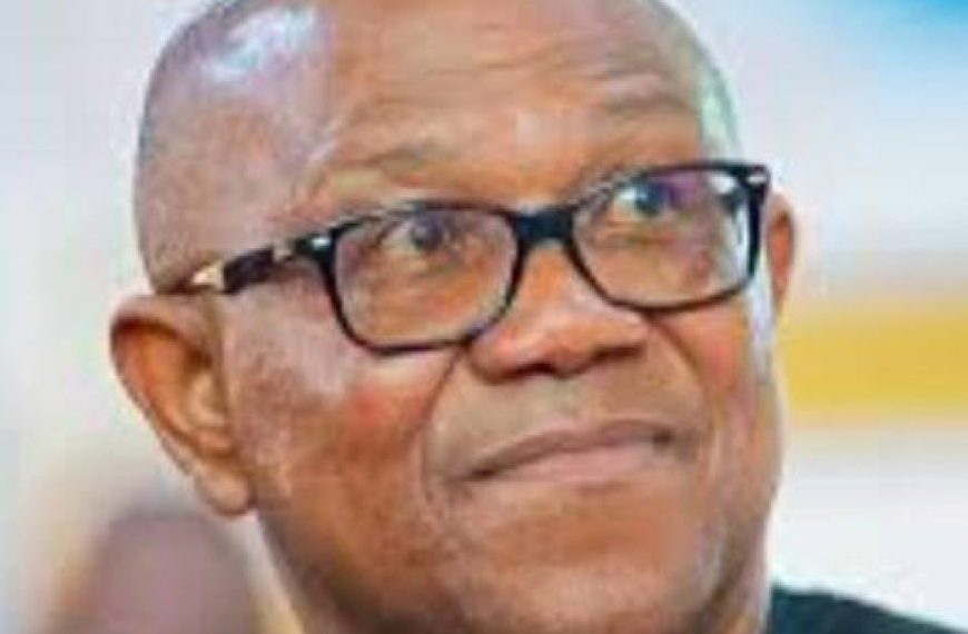 Peter Obi Plans to Reinstate Petrol Subsidy After Addressing Corruption