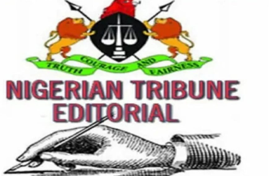 The Persisting Threat: Why are Nigerians Still Falling Victim to Ponzi Schemes?