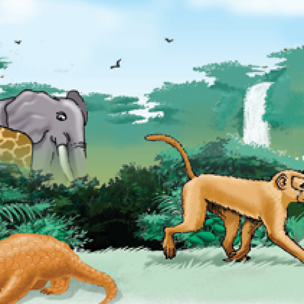 Three High-Profile Wildlife Traffickers Arraigned in Kano Court