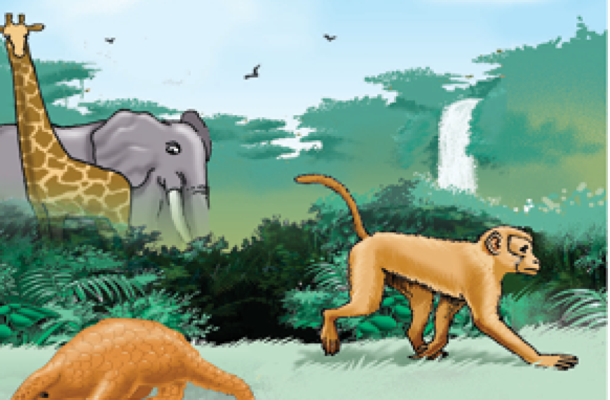 Three High-Profile Wildlife Traffickers Arraigned in Kano Court
