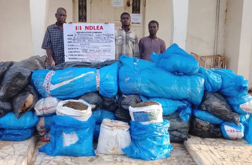 NDLEA Intercepts N6.98bn Tramadol Shipment at Lagos Port, Arrests Suspects Across States