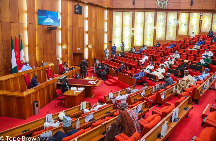 Senate Clears NGE President and 15 Others for NHRC Governing Board