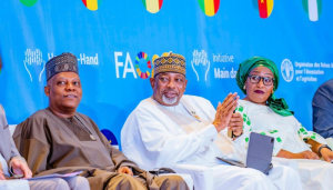 Bridging the Financing Gap for Agricultural SMEs: AGRA,&hellip;