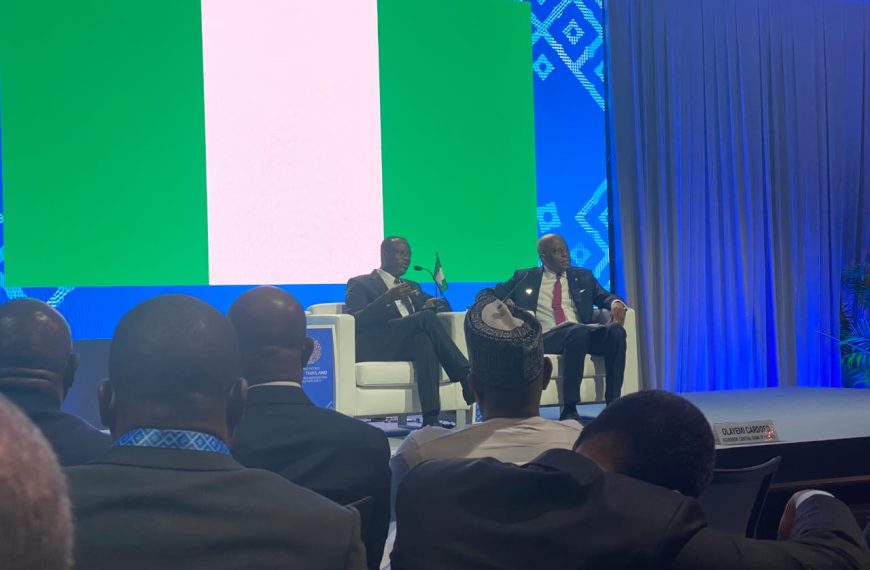 Subsidy Return: Why International Investors Write Off Nigerian Opposition Politicians as Unserious