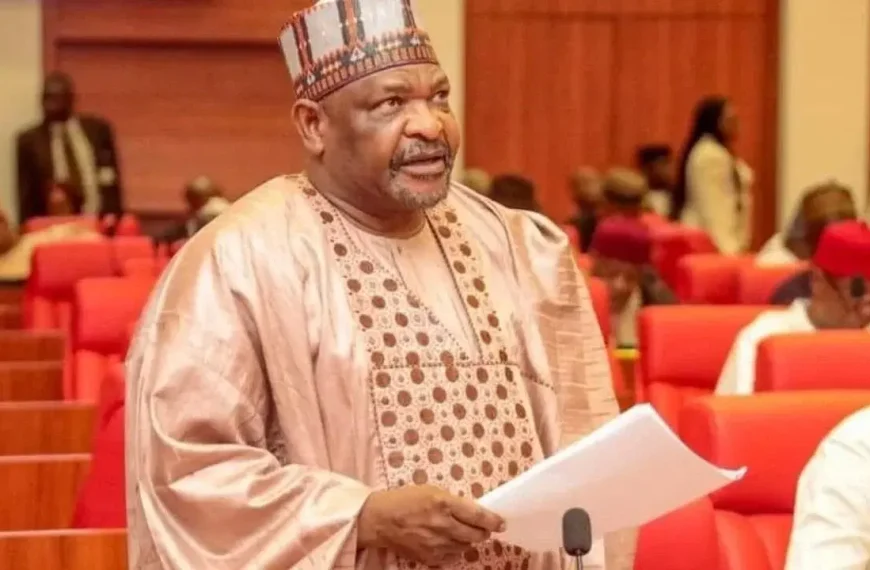 Senator Mandiya’s Unexpected Death: Abdul Ningi Recalls Fatal Bathroom Slip