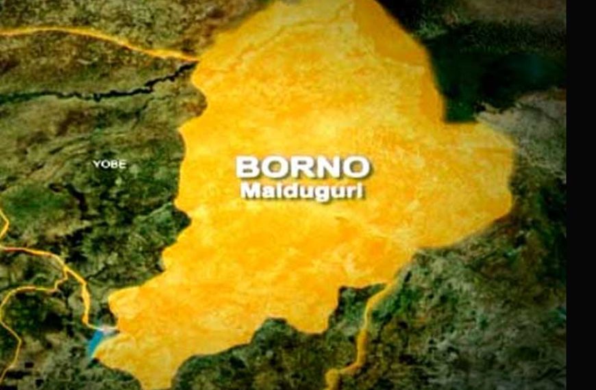 Borno Parents Plead for Tinubu’s Aid as 78 Children, Teacher Remain Captive