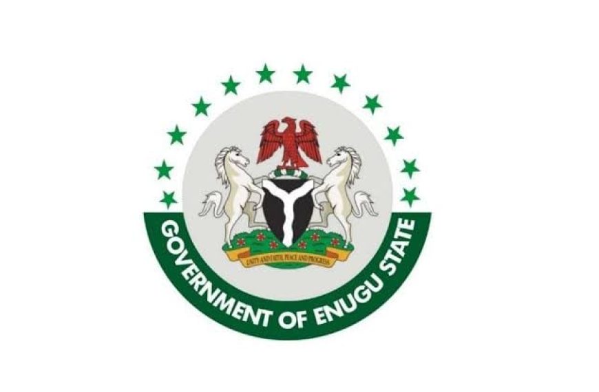 2027: Enugu Government Accuses Opposition of Plotting to Import Armed Thugs and Bandits