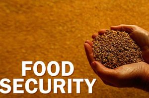 Boosting Food Security: Experts Propose Measures at Fertiliser&hellip;
