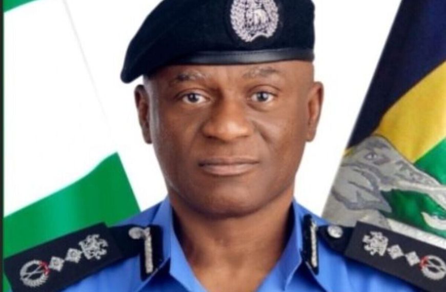 IGP Disu Proposes Doubling Gratuity for Retired Police Officers