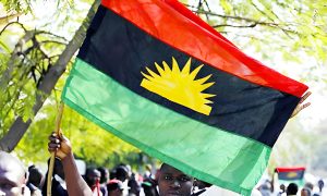 Activists Challenge Nigerian Legal Practitioners Over Use of&hellip;