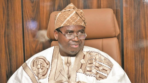 2027: When INEC’s Lofty Promises Fall Short
