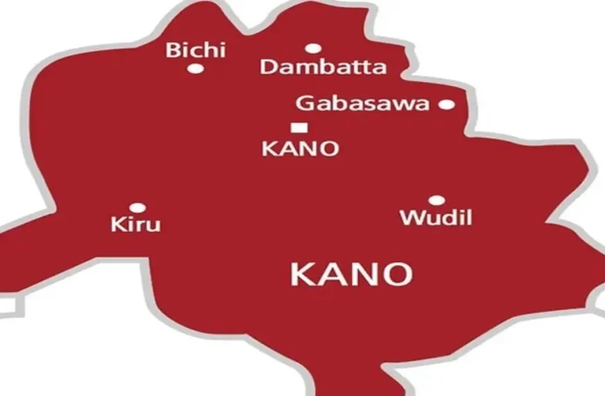 Tragedy in Kano: Five Children Die from Suspected Diphtheria