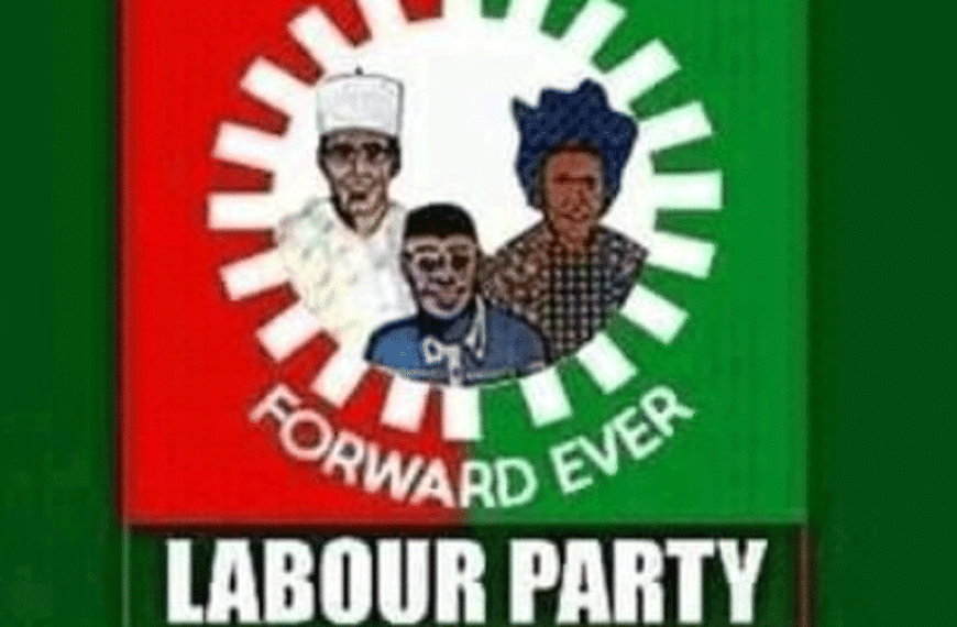 Labour Party Leader, Action Alliance Candidate to Sue INEC over Alleged Manipulation of Ogun PDP Register