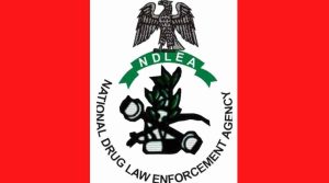 Italian-Bound Businessman Arrested for Smuggling Cocaine into Lagos&hellip;