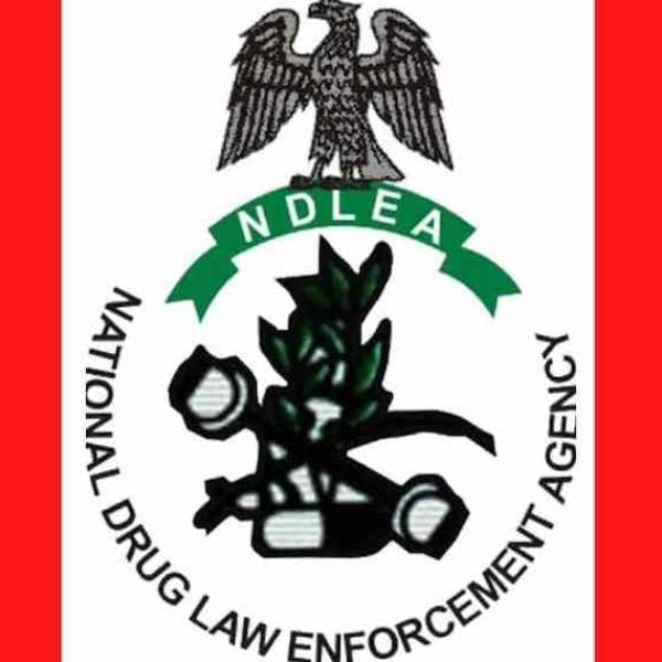 Italian-Bound Businessman Arrested for Smuggling Cocaine into Lagos&hellip;