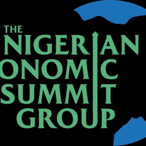 Insecurity Undermining Nigeria’s Economic Growth, Warns NESG