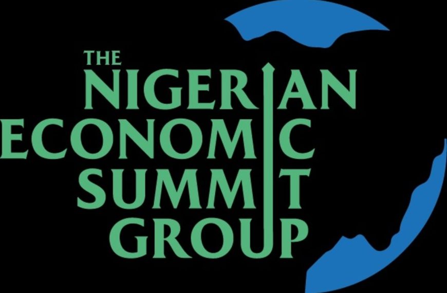 Insecurity Undermining Nigeria’s Economic Growth, Warns NESG