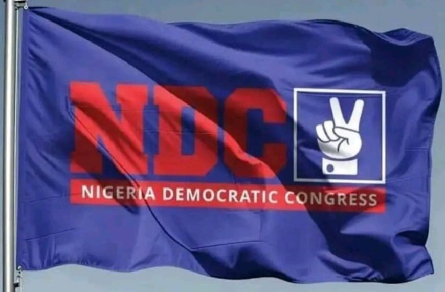 NDC Withdraws Recognition of Diaspora Chapters Over Court Ruling