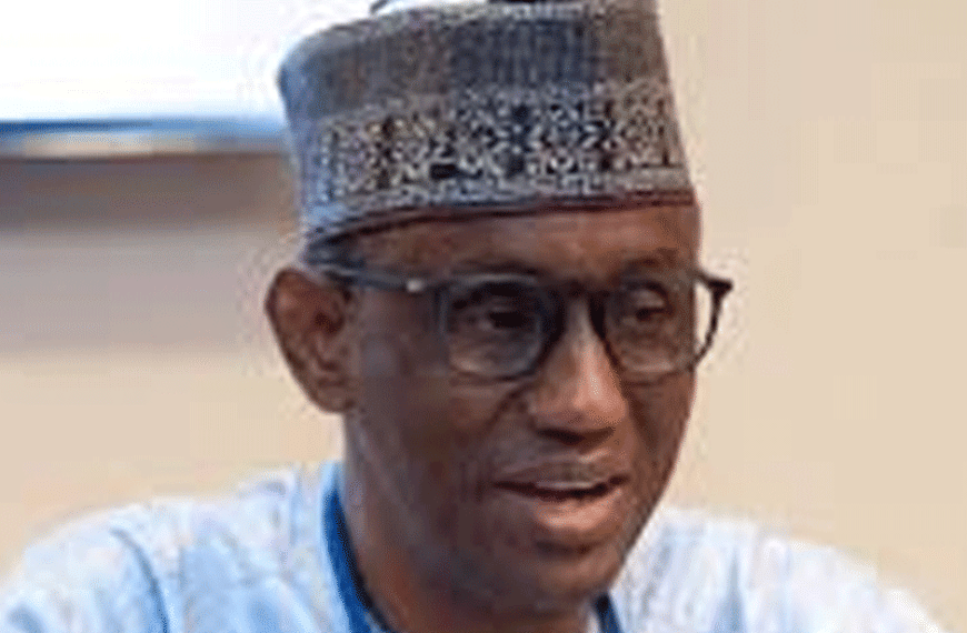 FG Reviews National Security Strategy with New Committee