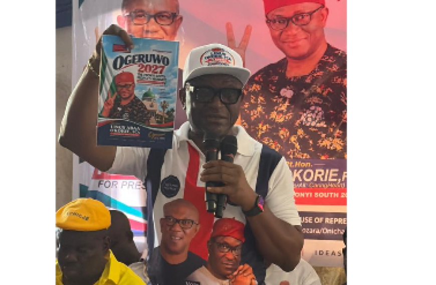 Candidate for Ebonyi South Senate in 2027 Outlines His Legislative Agenda