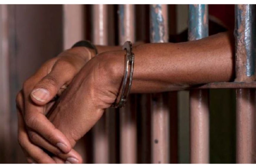 Borno Father Sentenced to 10 Years for Aiding Boko Haram