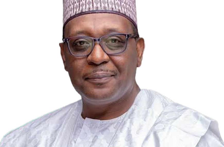 Nigeria’s Health Partnership with the US: Sovereignty and Domestic Financing