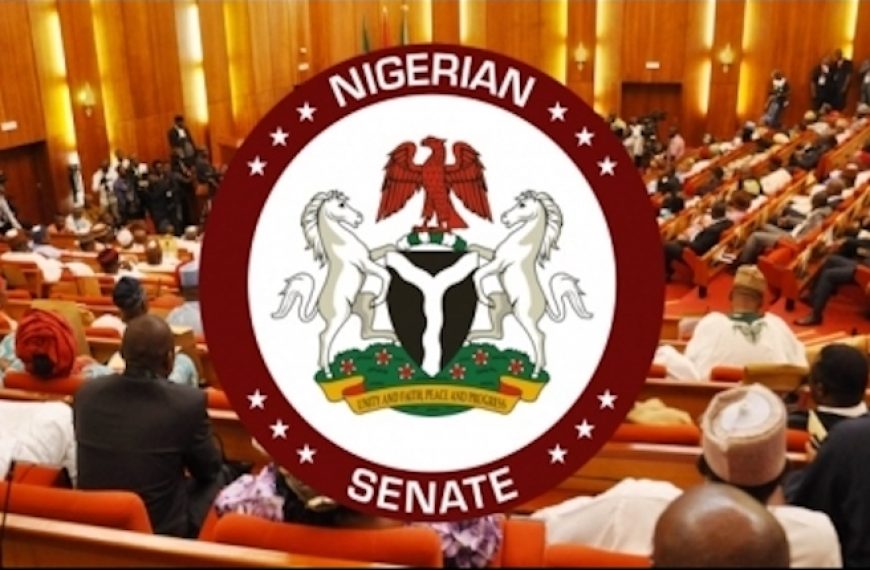 Senate Pushes for Border Security Camps Following Taraba Attacks