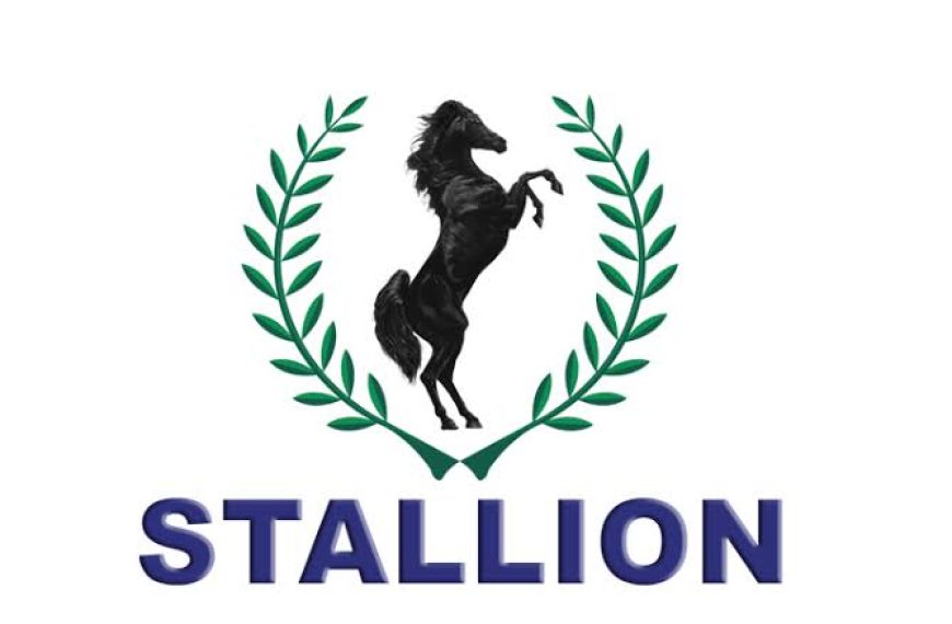 Stallion Group Contests Court Ruling, Files Appeal and Stay of Execution