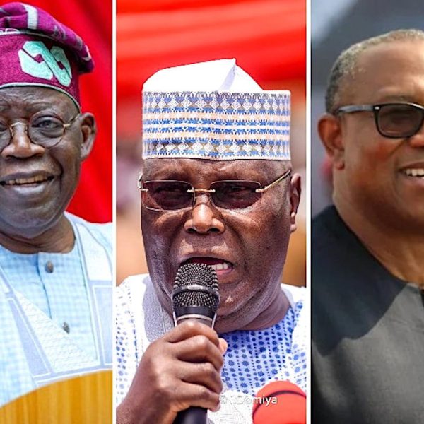 2027 Elections: Donald Duke Predicts Tinubu’s Victory if&hellip;