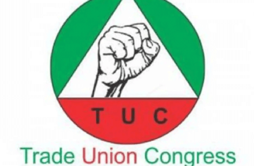 TUC Urges FG to Adopt N800 to $1 Exchange Rate to Lower Fuel Prices