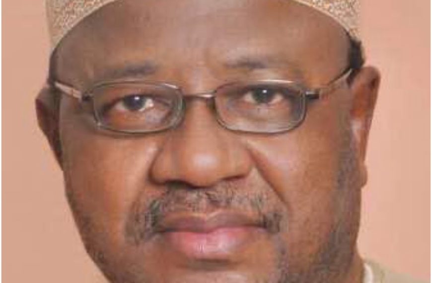 One-Sided 2027 Campaign: APC on Ground, Others on Social Media – Umar Ardo