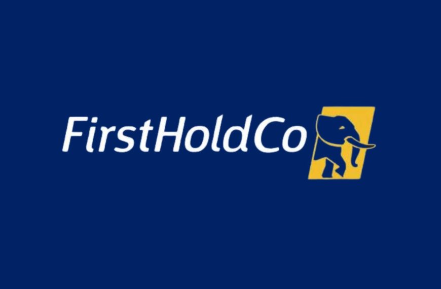 First HoldCo’s Profits Soar 63% to N744.5 Billion