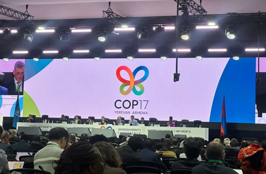 Global Biodiversity Fund Gains $60 Million in New Pledges at CBD COP17
