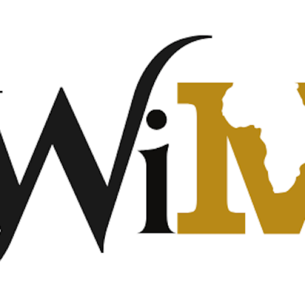 Africa’s Mineral Pricing: WiM-Africa Pushes for Greater Influence
