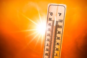 PT Health Watch: Coping Strategies Amidst Nigeria’s Scorching&hellip;