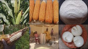 Unveiling the Food on Nigerian Tables: A Deep&hellip;